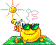 (plaz)